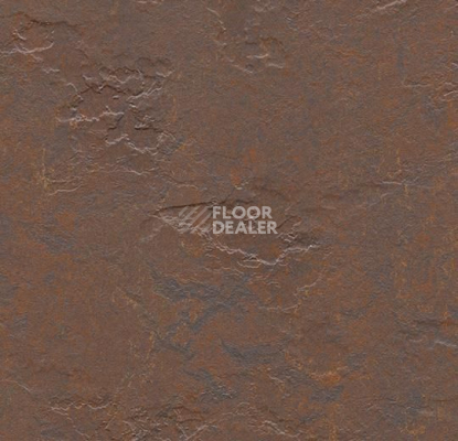 Кварцвиниловые полы Marmoleum Modular te3746 Newfoundland slate фото 1 | FLOORDEALER